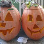 DSCF5049