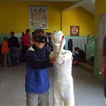 DSCF5047