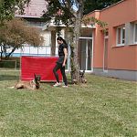 mdd 2016 vo foto 43